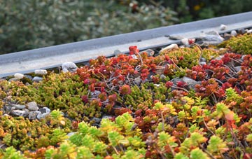 the cost of Whiteside green roof installation