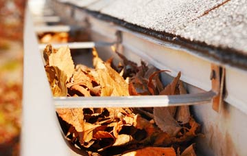 Whiteside gutter cleaning companies
