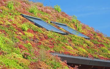 Whiteside living roof systems